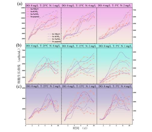 一种饮用水水库致嗅放线菌生长曲线测定与产嗅影响因素分析（二）