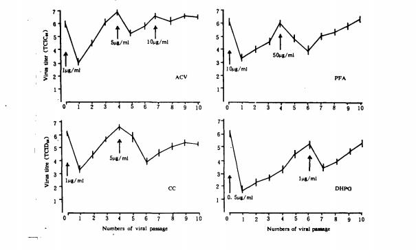 单纯疱疹病毒对眼科常用抗病毒药物的耐药性研究
