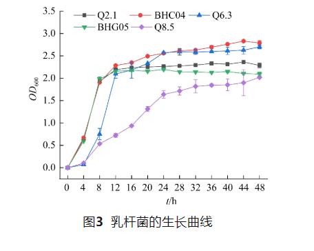 靶向妇科炎症：两株阴道乳杆菌的筛选、抑菌机制与益生潜力分析（二）