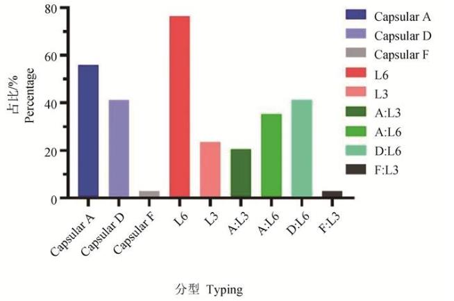多杀性巴氏杆菌分离鉴定、分型、药敏试验及小鼠致病性试验（二）