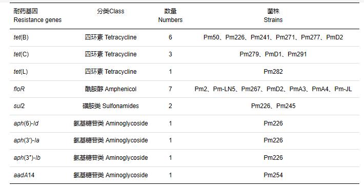 多杀性巴氏杆菌分离鉴定、分型、药敏试验及小鼠致病性试验（四）