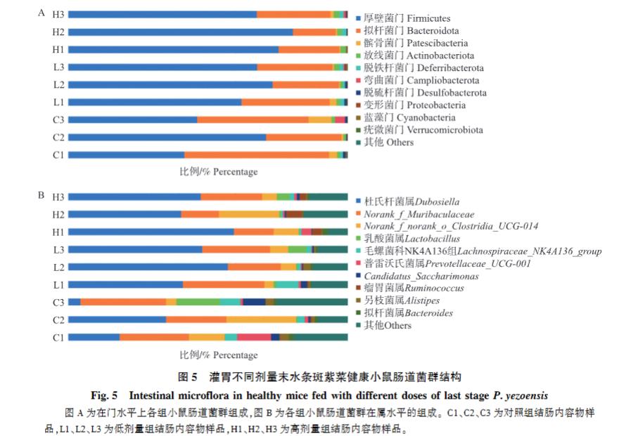 末水条斑紫菜通过促进丁酸产生菌与杯状细胞增殖改善小鼠肠道健康