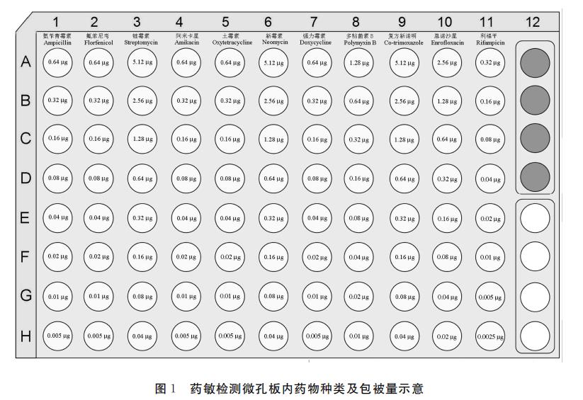 水产养殖迟钝爱德华氏菌生长曲线及对链霉素敏感性检测（一）