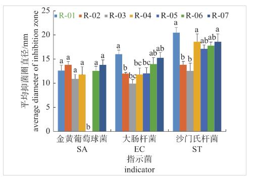 青贮乳酸菌生长曲线、产酸和抑菌能力、抗生素耐药性测定（一）