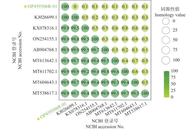 青贮乳酸菌生长曲线、产酸和抑菌能力、抗生素耐药性测定（三）